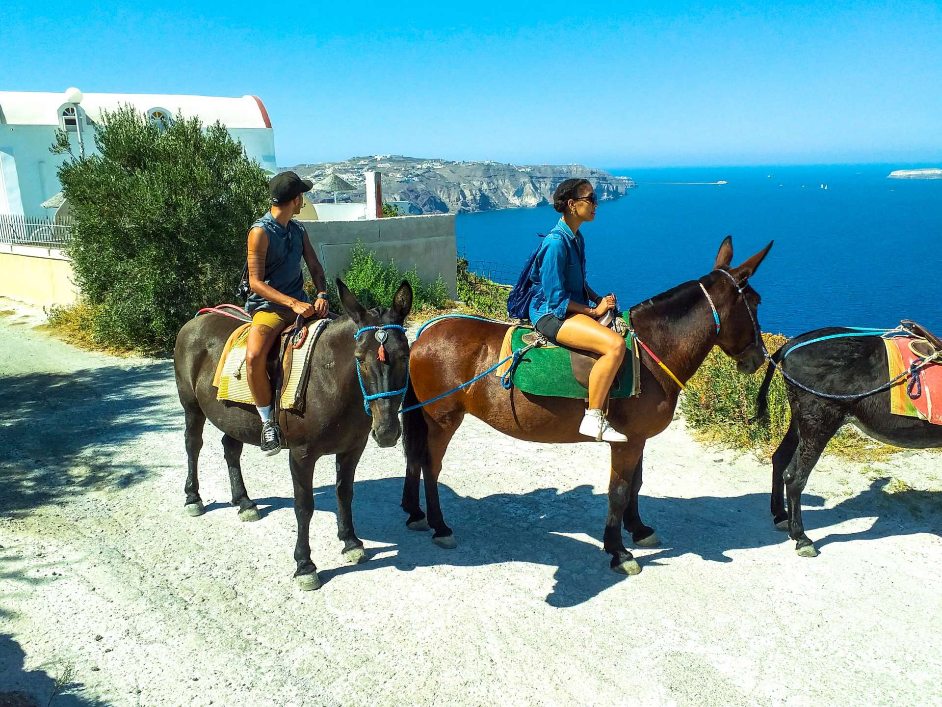 Santorini Mule & Horse Riding - SantoriniMuleHorseRiding